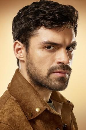 Profile picture of Sean Teale