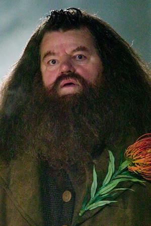 Profile picture of Robbie Coltrane