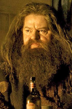 Profile picture of Robbie Coltrane