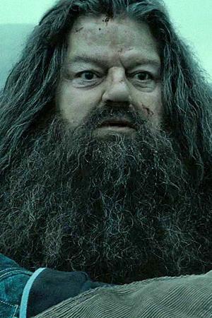 Profile picture of Robbie Coltrane